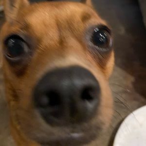 Meet your Posher, Jenna